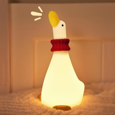 Night light — Looking up at the duck A013